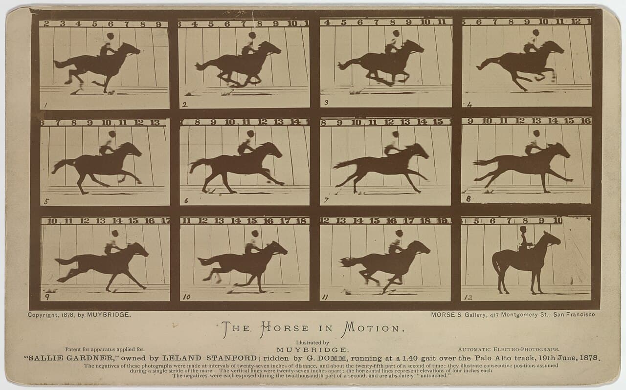 Eadweard Muybridge, Hareket Hâlindeki At
