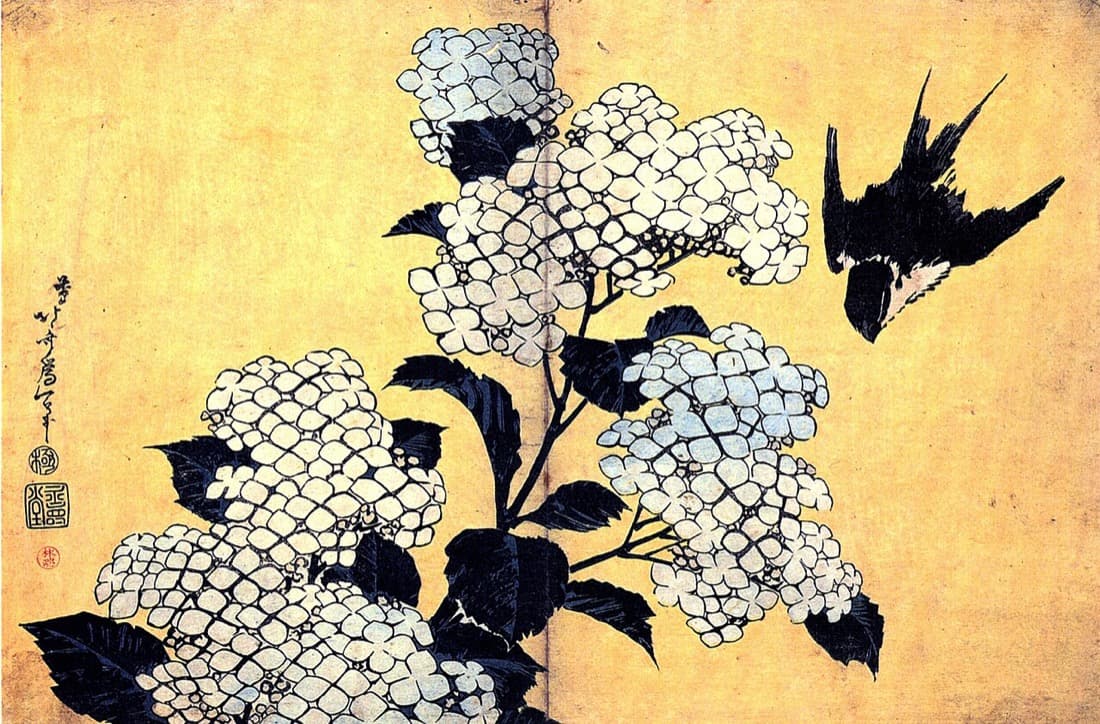 Katsushika Hokusai, Ortanca ve Kırlangıç