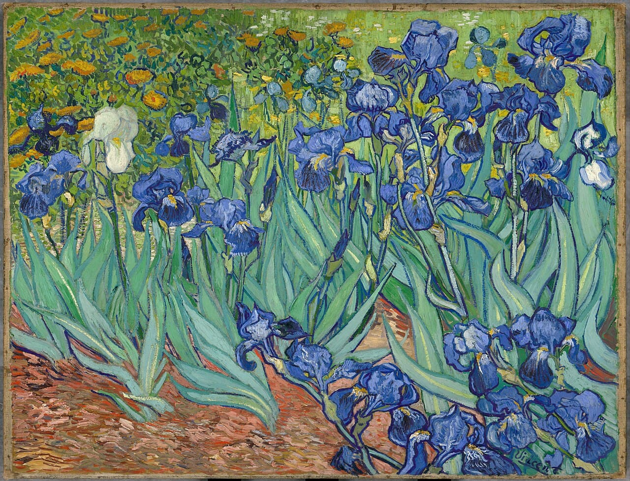 Vincent van Gogh, Irises